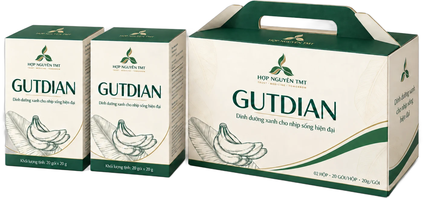 Hộp GUTDIAN và hộp quà